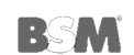 gpo-bsm-C